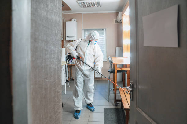 Best Emergency Mold Remediation  in Ceresco, NE