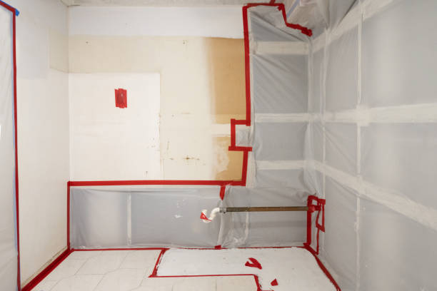Best Dehumidification Services  in Ceresco, NE