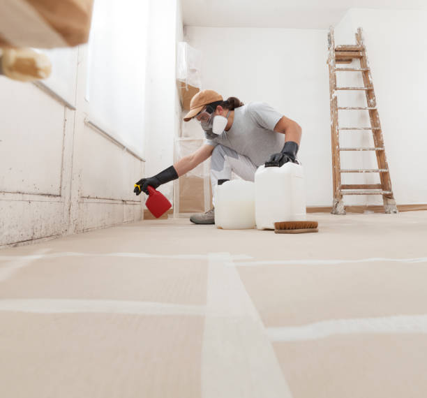 Reliable Ceresco, NE Mold Removal Solutions